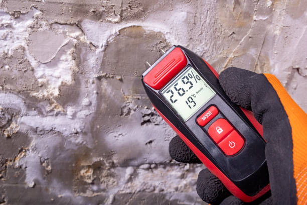 Best Post-Flood Mold Remediation in Gibson, AR